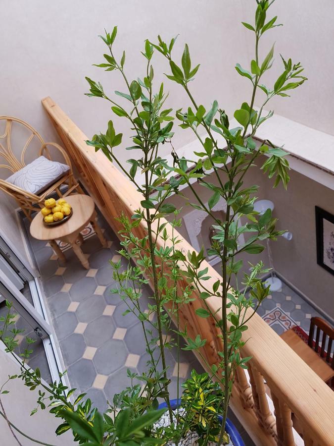 Ferienhaus Espressino Exclusive Marrakech